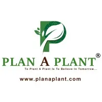 Plan A Plant