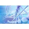 Diagnostics Group Diagnostics Group