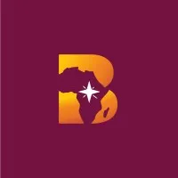 Bright Lights for Africa Bright Lights for Africa