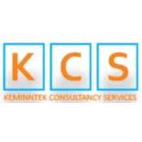 Keminntek Consultancy Services