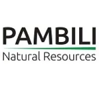 Pambili Natural Resources Corporation Pambili Natural Resources Corporation