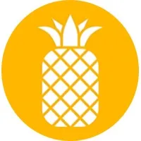 Pineapple Consulting Firm Pineapple Consulting Firm