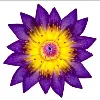 ASPSNIPPETS Pvt. Ltd. ASPSNIPPETS Pvt. Ltd.