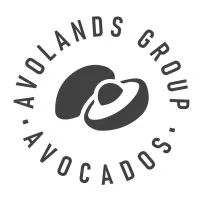 Avolands email format
