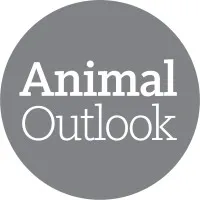 Animal Outlook