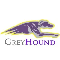 SLS Greyhound LTD