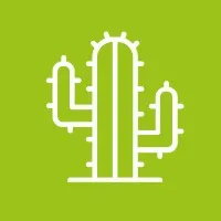 Guacamole Cocina Mexicana