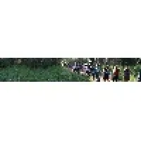 Habonim Dror Camp Gilboa