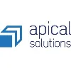 Apical IT Solutions Ltd