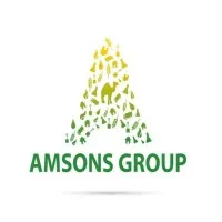Amsonsgroup