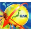 Oak Associates Oak Associates