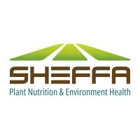 SHEFFA by Deshen Hatzafon