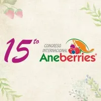 Aneberries