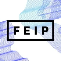 Дальневосточный Интеллектуальный Потенциал - FEIP