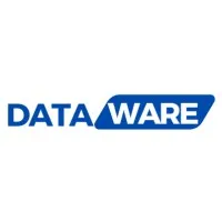 Dataware Technologies LLC