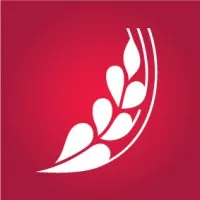 ROSE BLANCHE Group email format