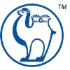 Camel Energy Inc Camel Energy Inc