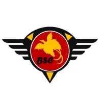 BRAVE SECURITY CONSORTIUM (BSC)