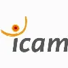 Icam - Institut Catholique d'Arts et Métiers