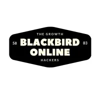 BlackBird Consulting (An ABeam Group Company)
