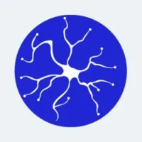 Cervello