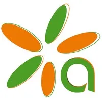 Arpinet LLC