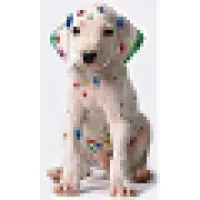 Speedpro Signs Calgary Downtown