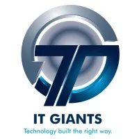IT GIANTS