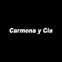 Automotriz Carmona y Cia. email format