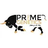 Prime Genetics Pvt. Ltd. Prime Genetics Pvt. Ltd.