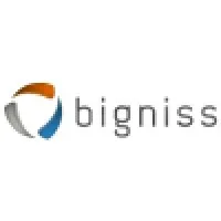 BIGNISS LTDA.