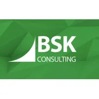 BSK Consulting BSK Consulting