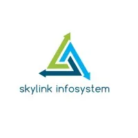 Skylink Infosystem