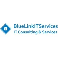 BlueLinkITServices