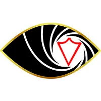 Virtual Protect Security Private Limited