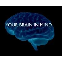 Your Brain in Mind