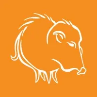 Javelina