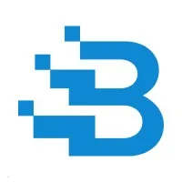 BranDive Media Solutions