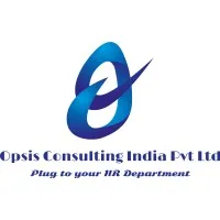Opsis Consulting India Pvt Ltd