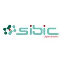 SIBIC : the new digital horizons