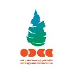 Oil Design & Construction Company (ODCC)