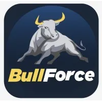 BullForce