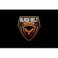 Black Belt Security Group