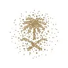 General Court of Audit - الديوان العام للمحاسبة