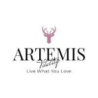 Artemis Accounting Solutions Artemis Accounting Solutions