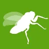 Cicada Marketing Cicada Marketing