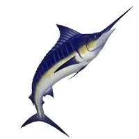 Angler Retail Construction