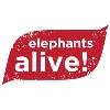 Elephants Alive