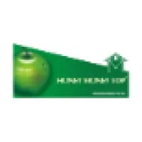 Honey Money Top Honey Money Top