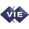 Virtual Information Executives Virtual Information Executives
